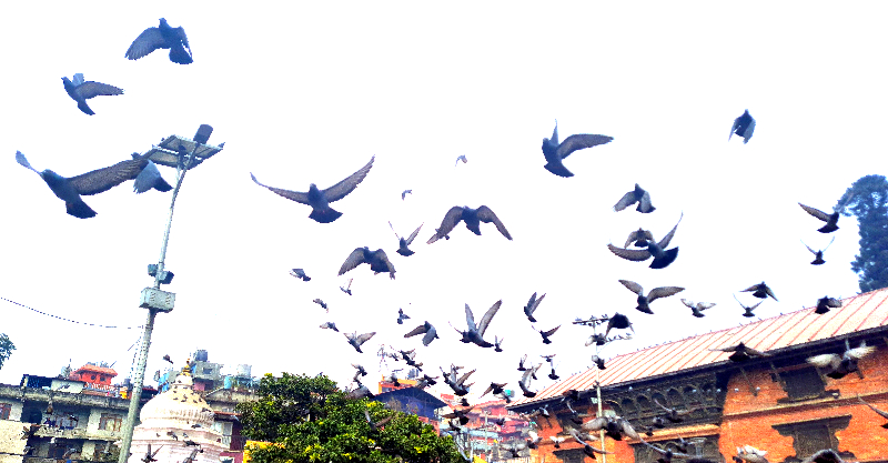 Nepal lifts nationwide curfew as interim govt takes charge